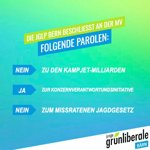 Junge Grünliberale beschliessen die NEIN-Parole zum Kampfjetreferendum