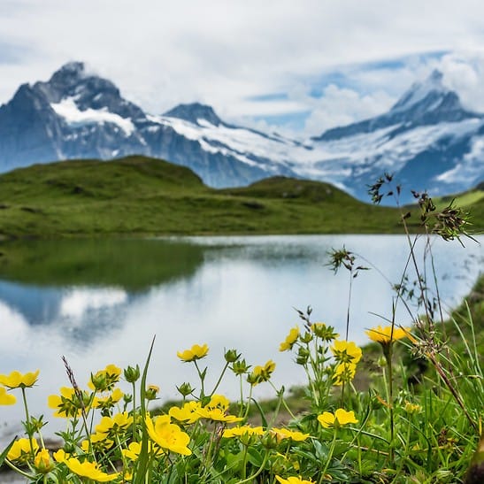 Berner Jungparteien sagen Ja zum kantonalen Klimaschutzartikel